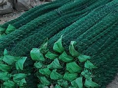 一.篩.濾網(wǎng)系列，乙烯網(wǎng)